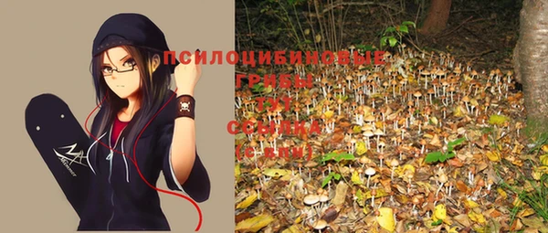 дмт Абинск
